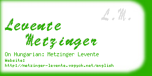 levente metzinger business card